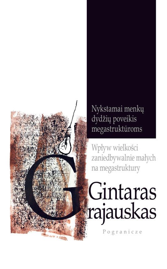 Wpływ wielkości zaniedbywalnie małych na megastruktury, Gintaras Grajauskas