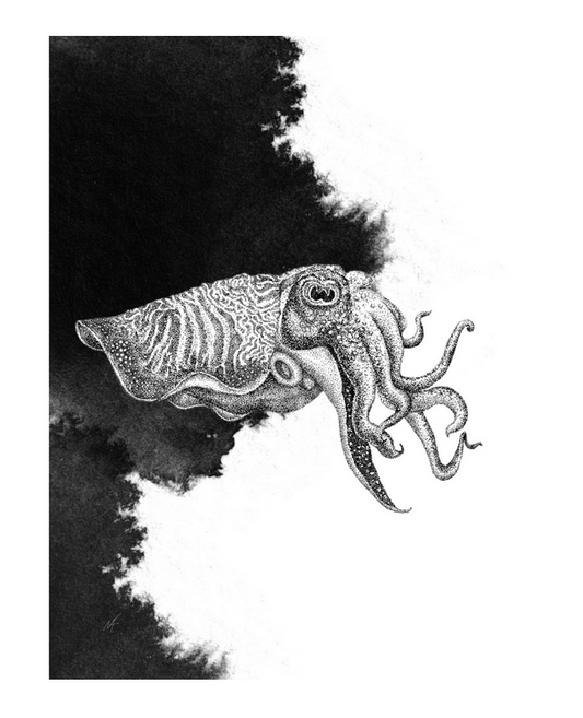 sepia, Julija Browarna