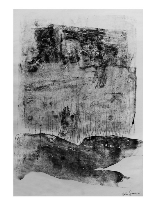 Fotosynteza, Marianna Kijanowska