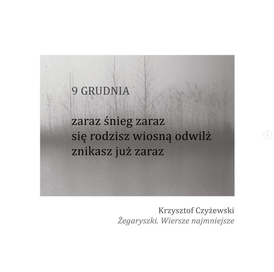 Żegaryszki. Wiersze najmniejsze, Krzysztof Czyżewski